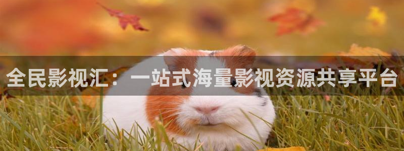 日韩一区二区三区不卡电影：全民影视汇：一站式海量影视资源共享平台