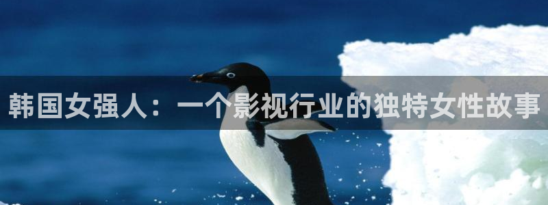 神马不卡福利影院：韩国女强人：一个影视行业的独特女性故事