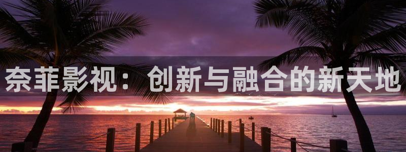 国产一区不卡视频播放