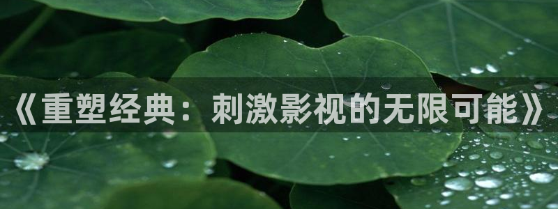 97在线观看视频不卡