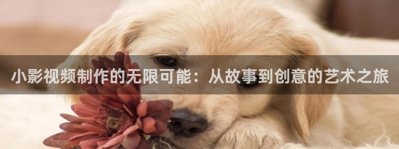 不卡的影视网站：小影视频制作的无限可能：从故事到创意的艺术之旅