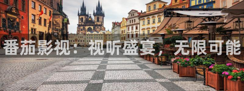 神马电影院手机我不卡：番茄影视：视听盛宴，无限可能