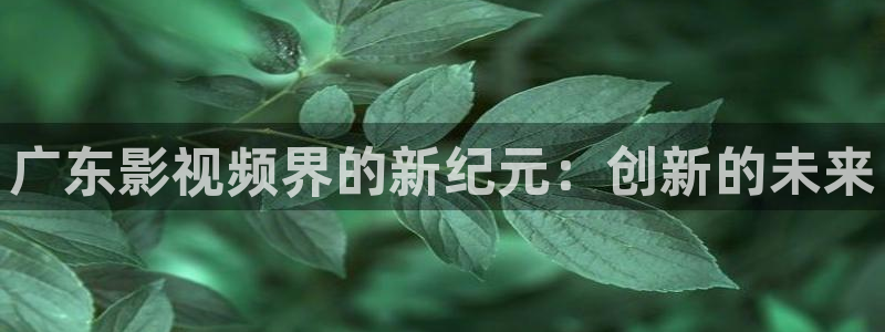 日本高清不卡免费v视频：广东影视频界的新纪元：创新的未来