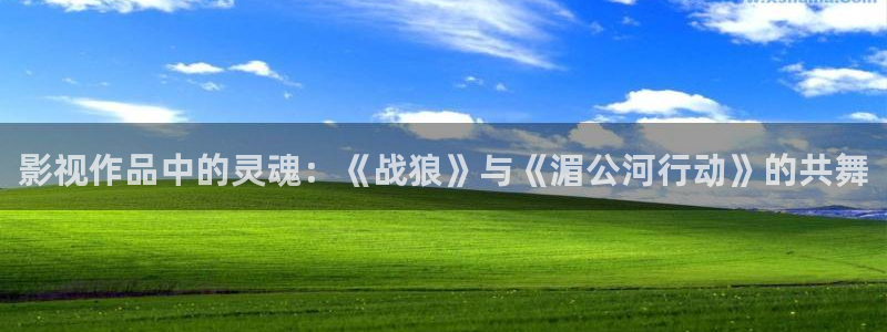 高清不卡a：影视作品中的灵魂：《战狼》与《湄公河行动》的共舞